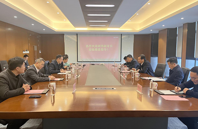 浙江省副省长胡伟莅临德意考察指导工作
